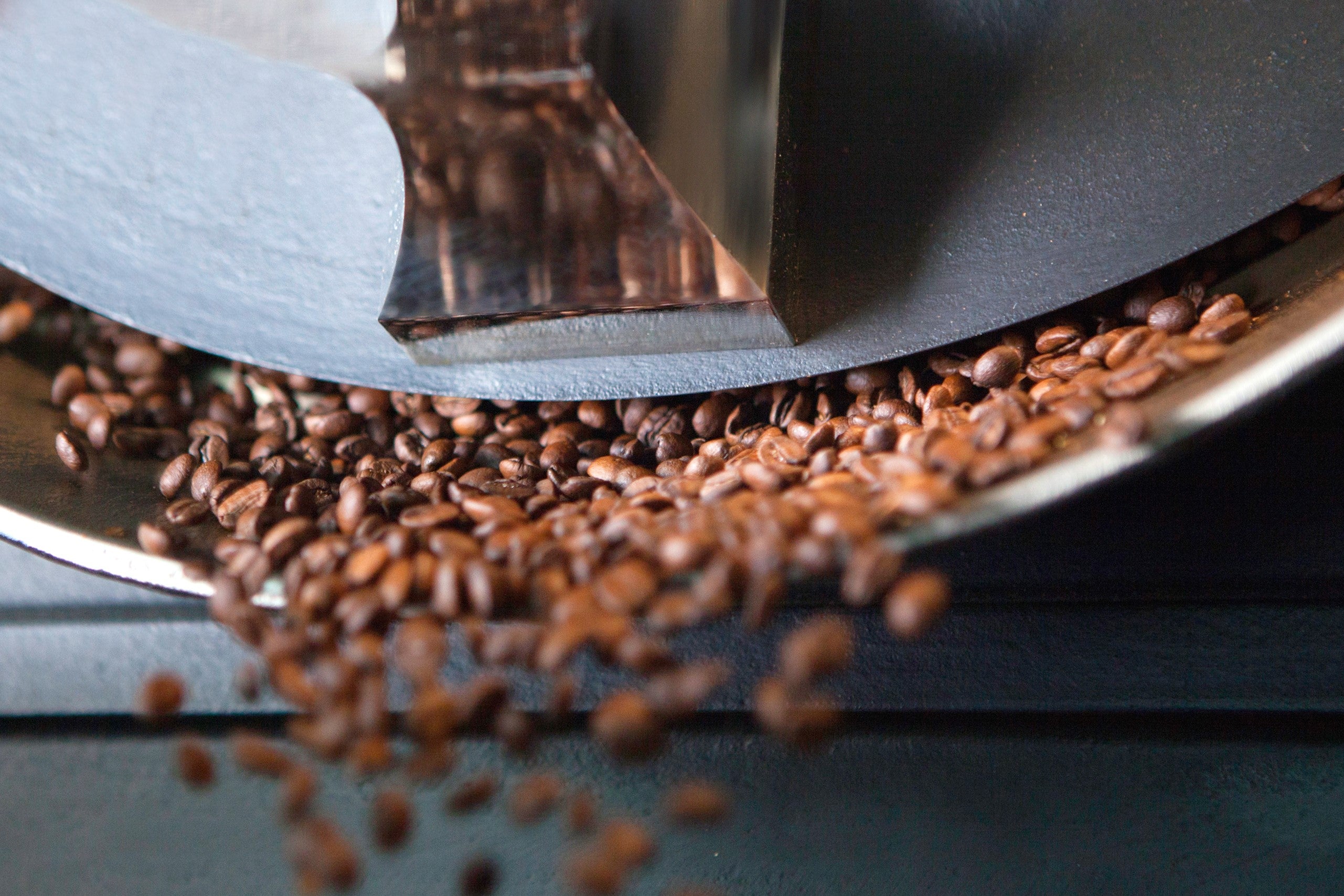 Frisch gerösteter Spezialitätenkaffee - Röstkaffee - kommt aus dem Röster