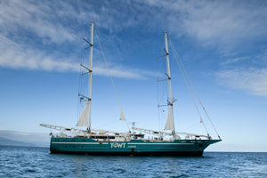 Segelkaffee: Nachhaltiger Kaffeegenuss - Segelschiff auf Ozean