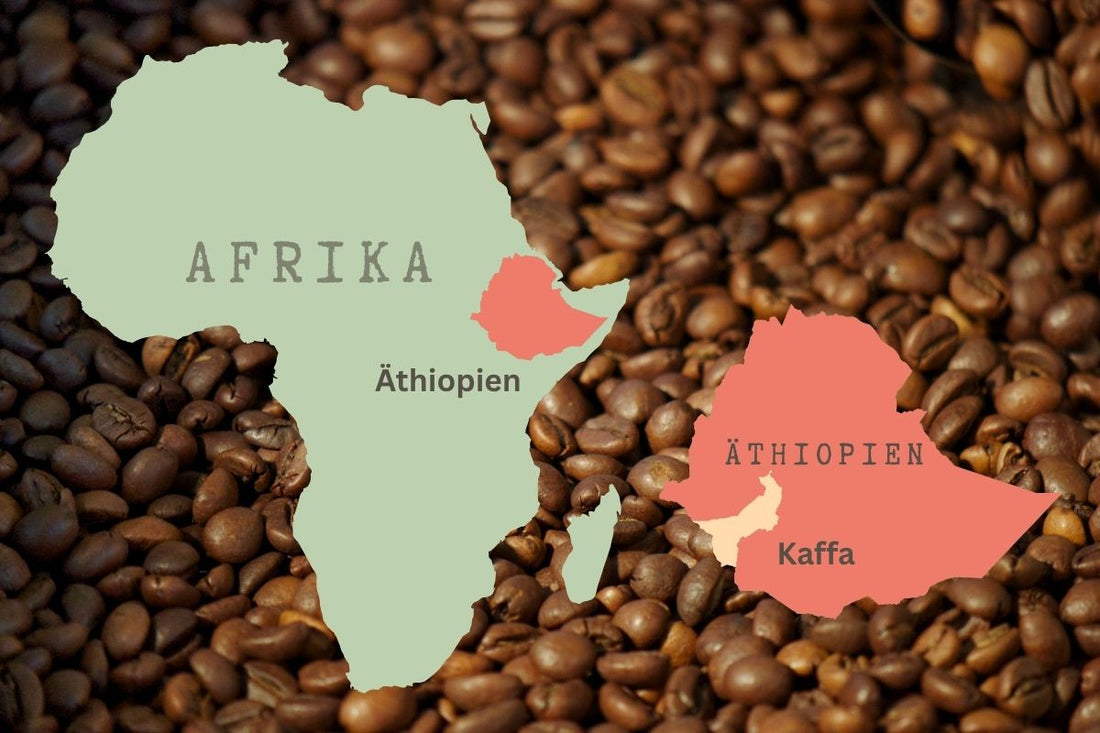 Karte von Afrika mit hervorgehobenen Umrissen von Äthiopien und der Region Kaffa vor einem Hintergrund aus Kaffeebohnen – visualisiert den Ursprung des Arabica-Kaffees in Äthiopien.
