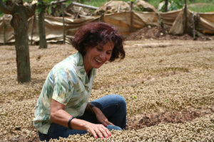 Unsere Klimastrategie