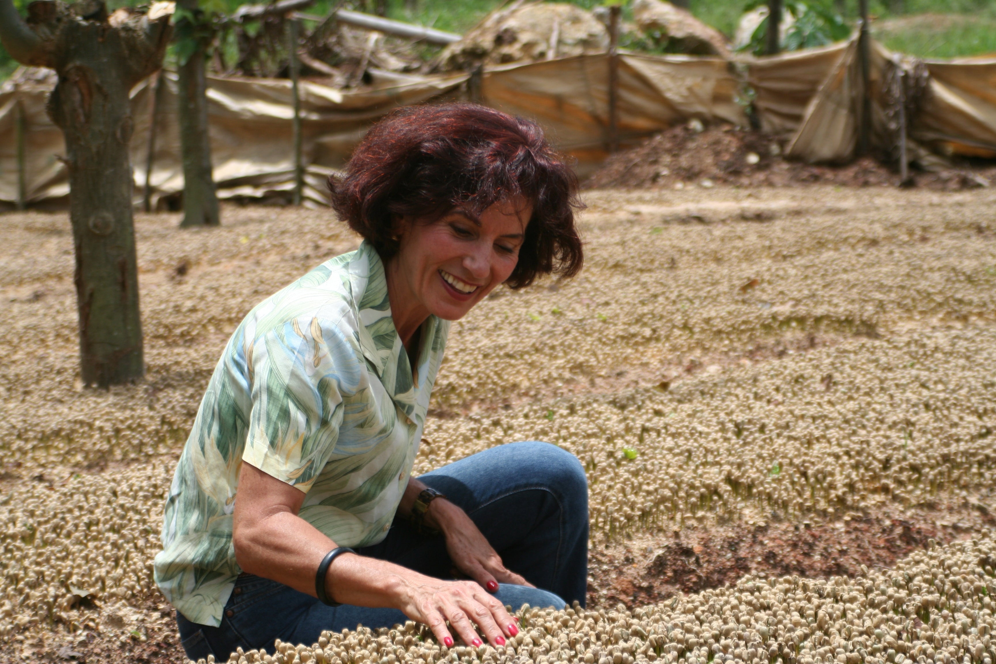 Unsere Klimastrategie