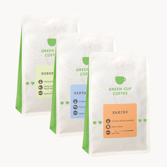 Green Cup Coffee-Packshot Aromareise Coldbrew: Kaffee Sorten Korofeigu, Santa Elena und Karibu, 250g