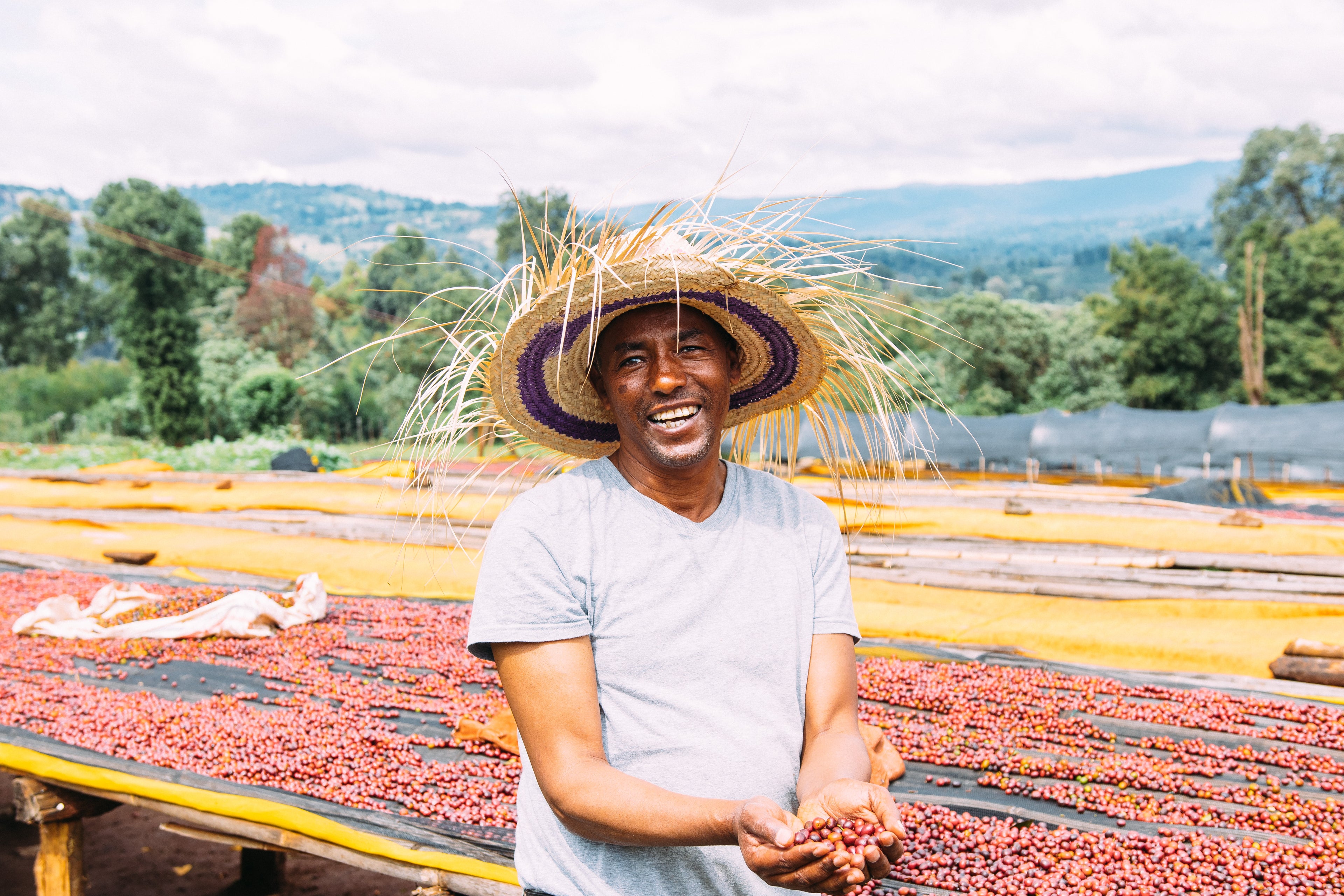 Suke Quto Kaffeeplantage in Äthopien, Guji: Kaffeefarmer auf der Plantage mit roten Kaffeekirschen in der Hand